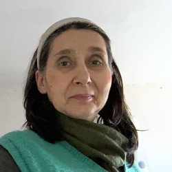 Felhasználó