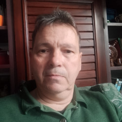 Felhasználó