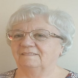 Felhasználó