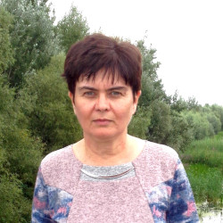 Felhasználó
