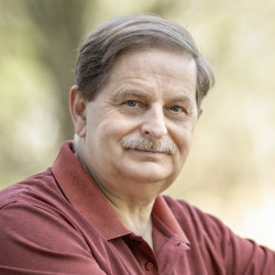 Felhasználó