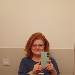 Felhasználó