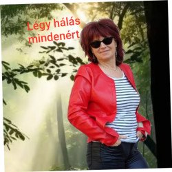 Felhasználó