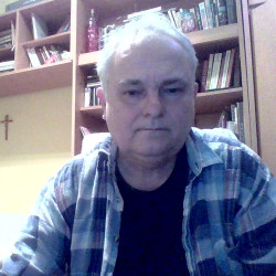 Felhasználó
