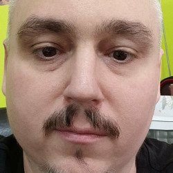 Felhasználó