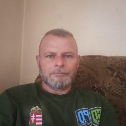 Felhasználó