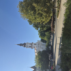 Felhasználó