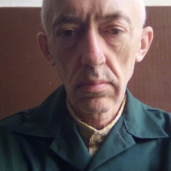 Felhasználó