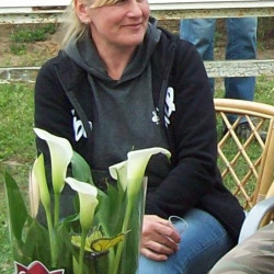 Felhasználó