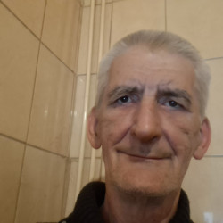 Felhasználó